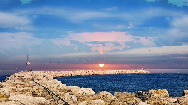 室内正确健身姿势