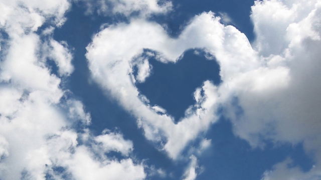 平博集团:亲子共享的快乐地！蜜蜂儿童滑梯带来家庭游戏新享受